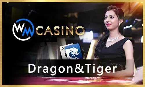 Jili56.com App Casino Games